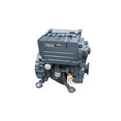 Case DV204 Engine