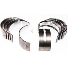 KMP81558