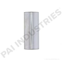 PAI-611081
